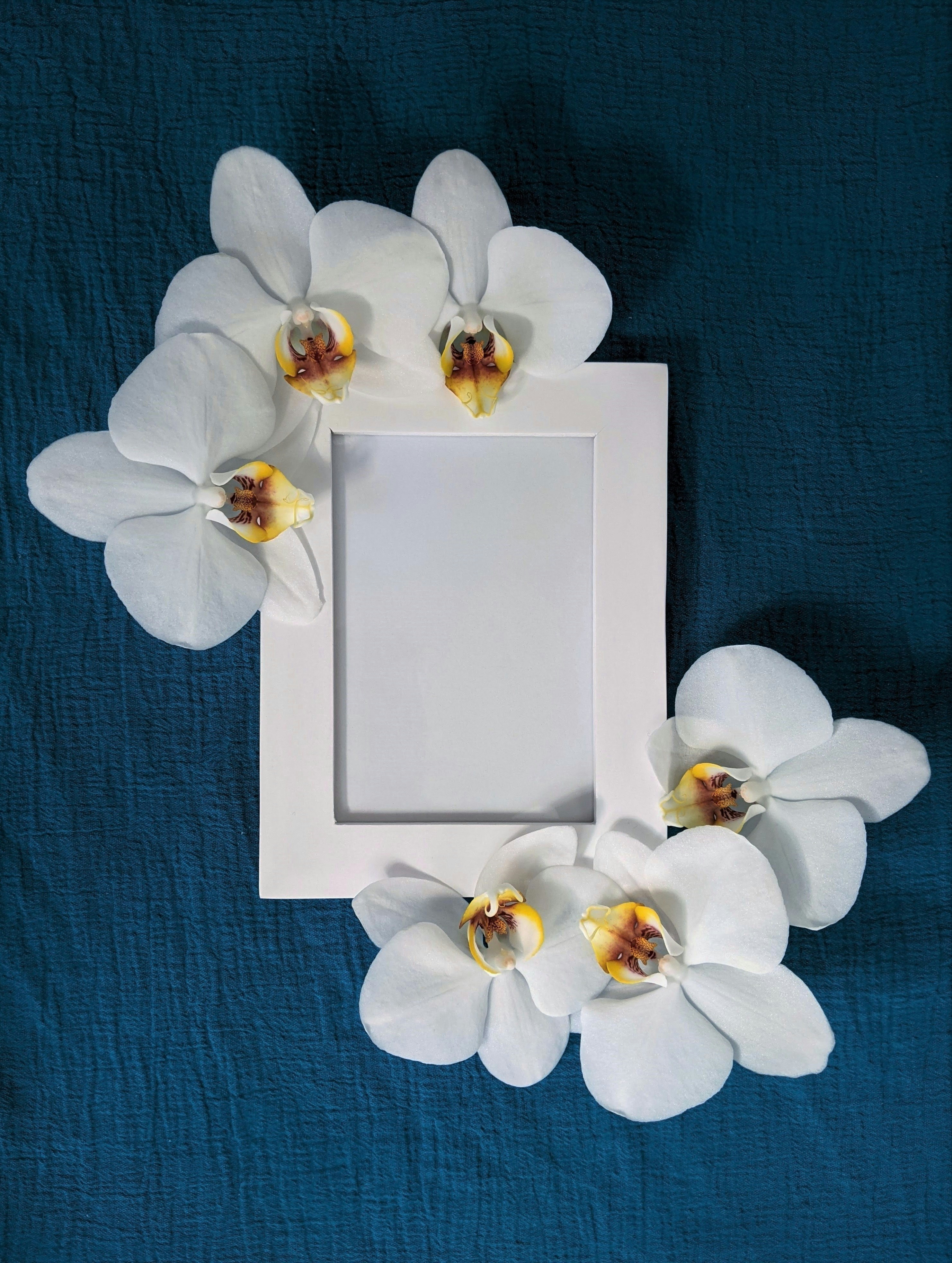white flower on white box
