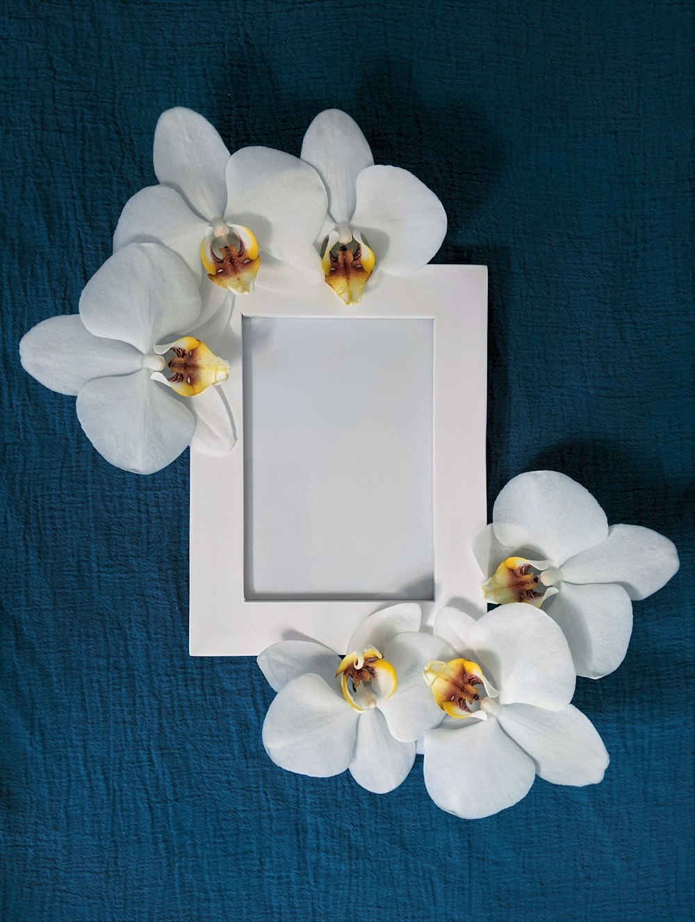 flor blanca sobre caja blanca