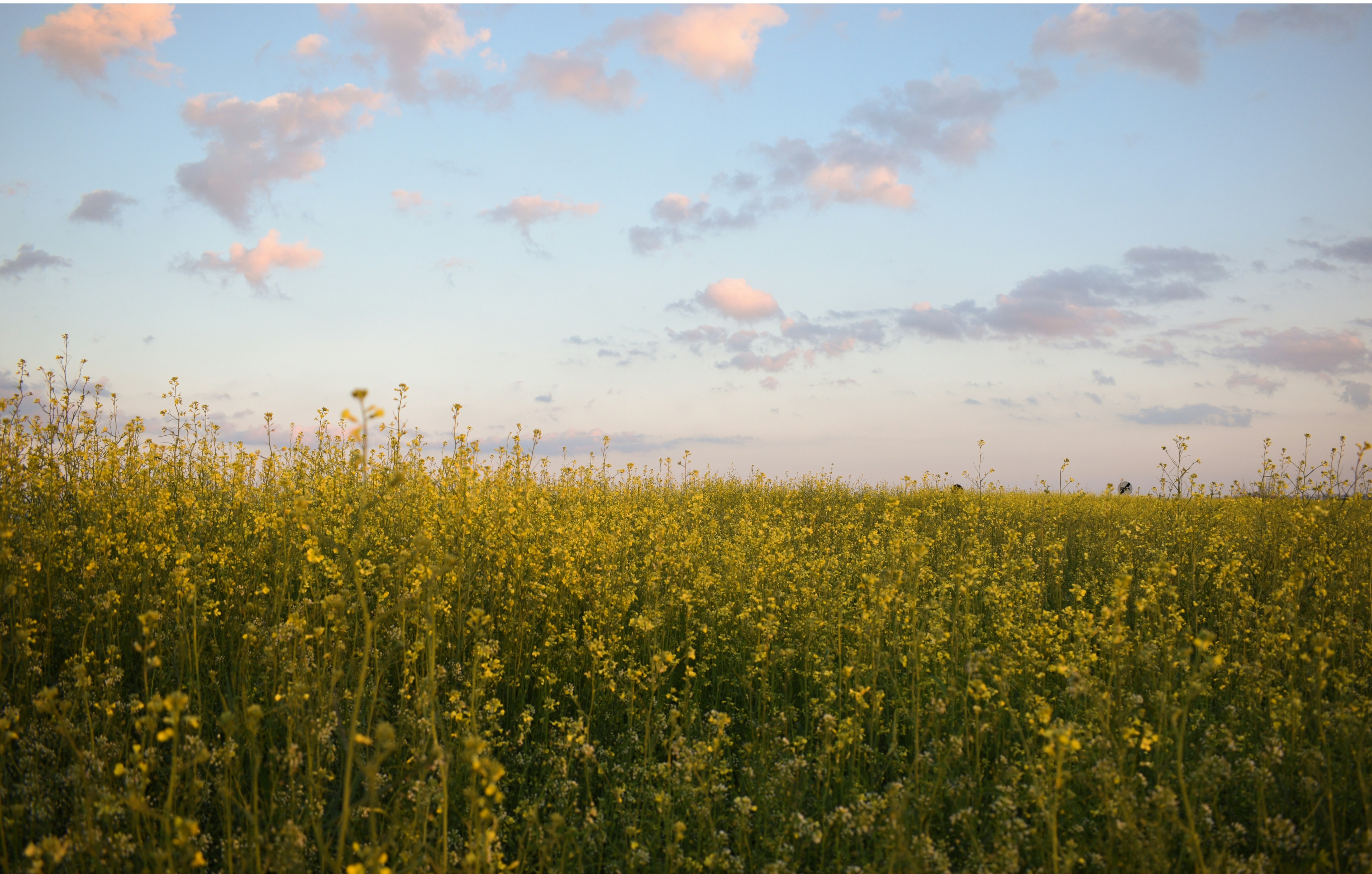 Photo by ioana_scholler