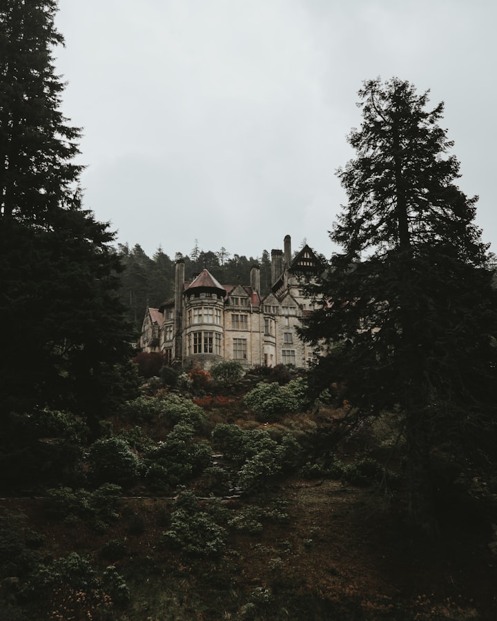 Dracula's mansion