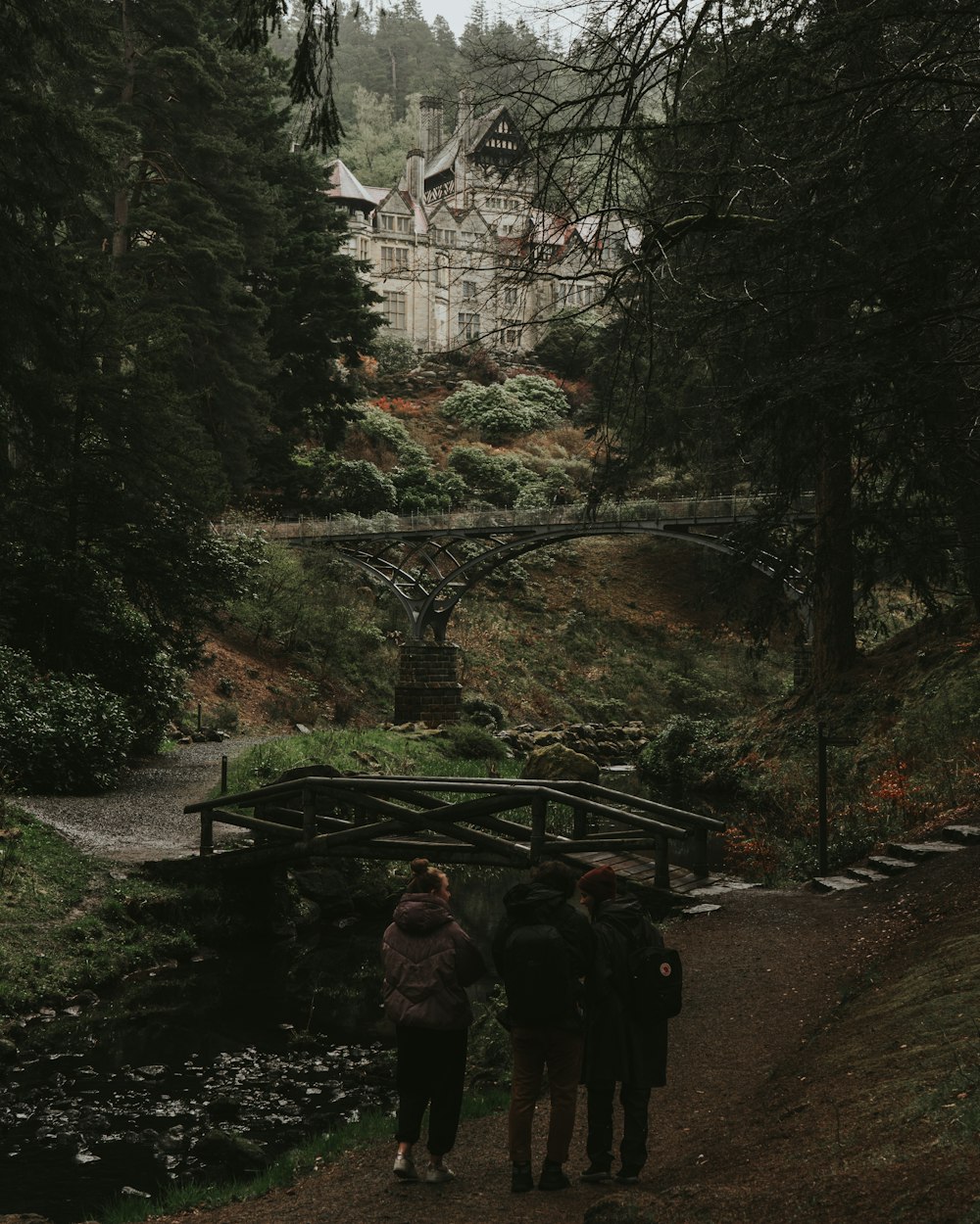 people walking on pathway in between trees during daytime