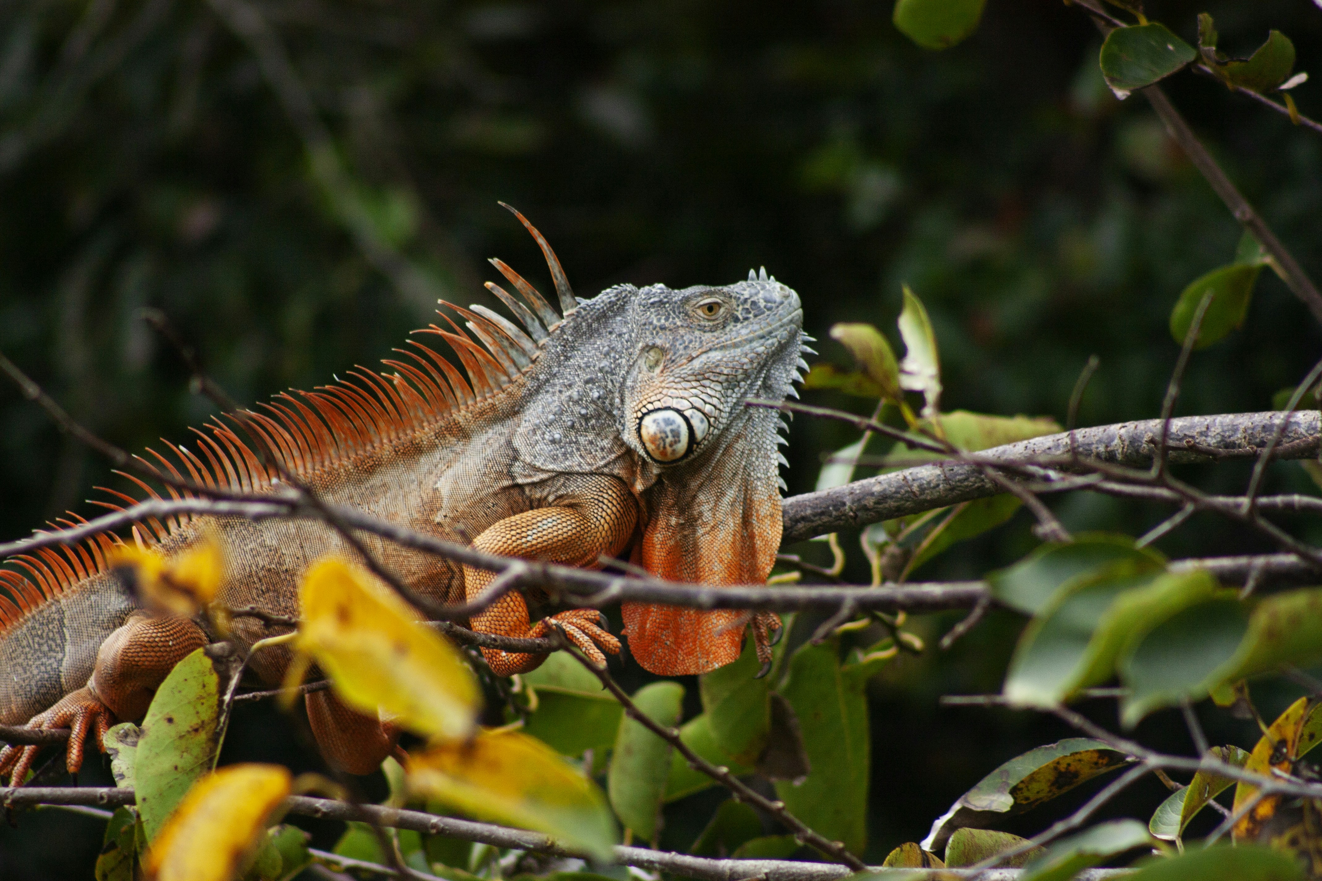 Photo by ashleyinguanta