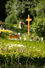 A serene cemetery scene with a prominent wooden cross surrounded by vibrant green foliage. In the foreground, lush grass and small white flowers are visible, while in the background, a variety of plants and gravestones can be seen under a canopy of trees.