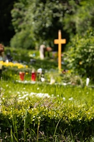 A serene cemetery scene with a prominent wooden cross surrounded by vibrant green foliage. In the foreground, lush grass and small white flowers are visible, while in the background, a variety of plants and gravestones can be seen under a canopy of trees.