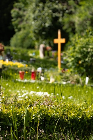 A serene cemetery scene with a prominent wooden cross surrounded by vibrant green foliage. In the foreground, lush grass and small white flowers are visible, while in the background, a variety of plants and gravestones can be seen under a canopy of trees.