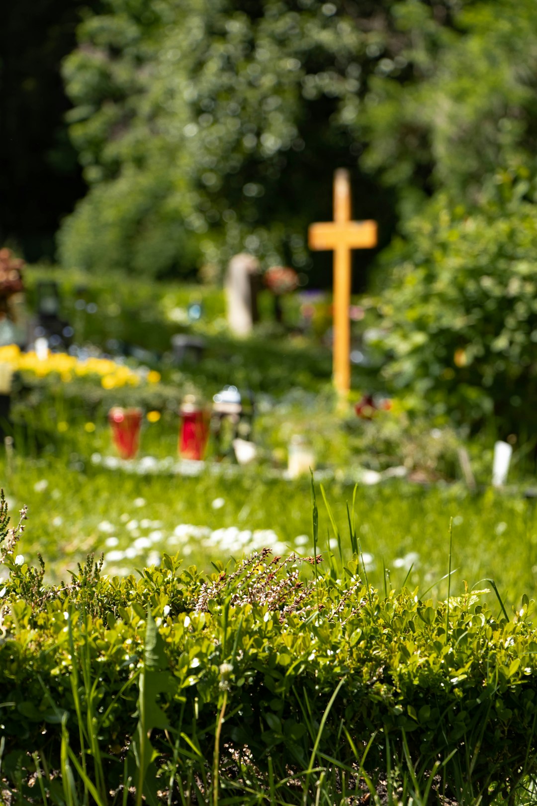 brown cross on green grass during daytime