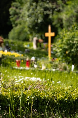 A serene cemetery scene with a prominent wooden cross surrounded by vibrant green foliage. In the foreground, lush grass and small white flowers are visible, while in the background, a variety of plants and gravestones can be seen under a canopy of trees.