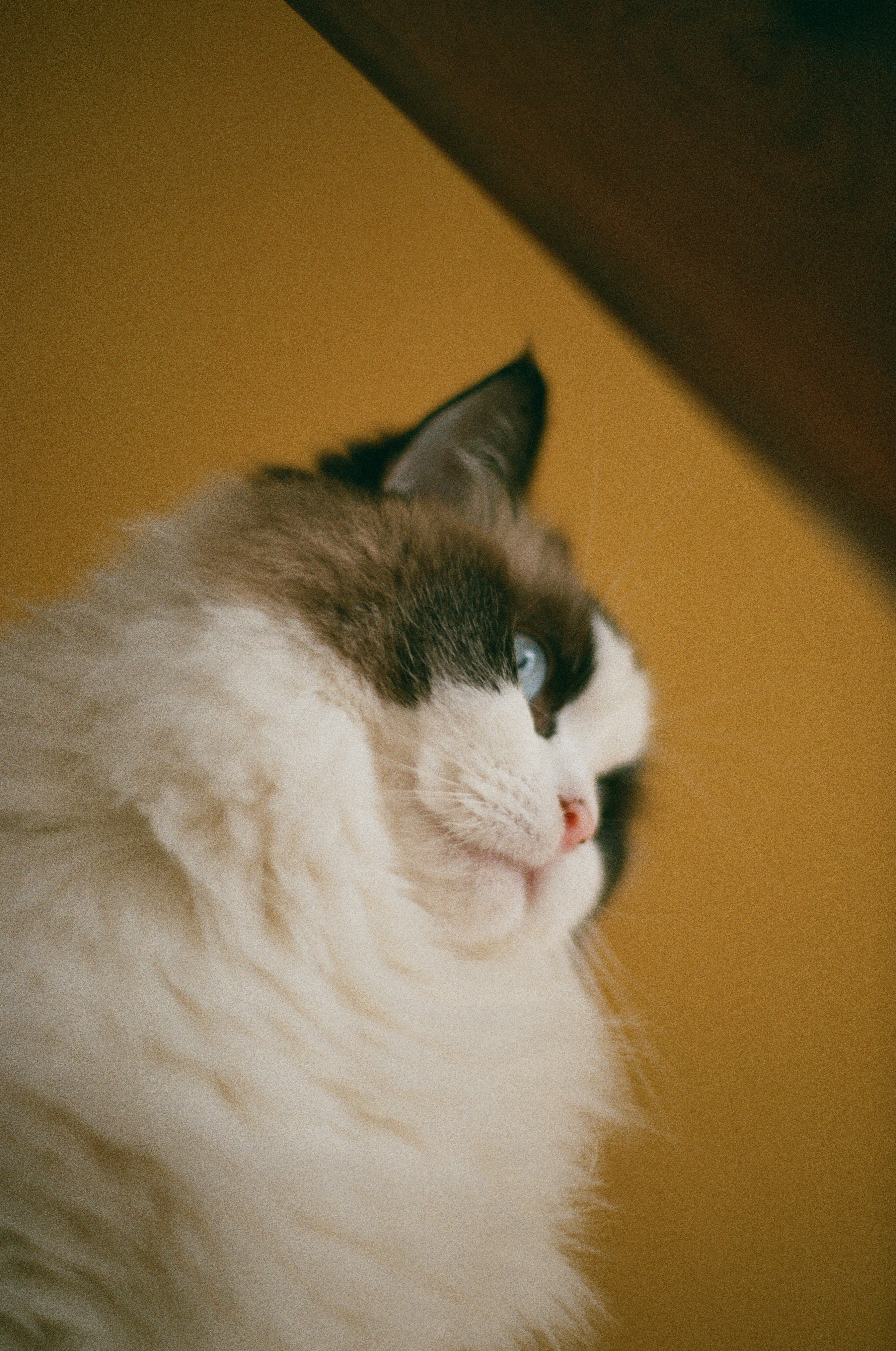 A Love for Physical Closeness (image credits: unsplash)