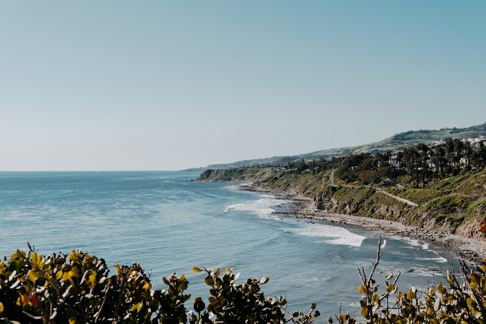 Grüne und braune Insel in der Nähe von blauem Meer unter blauem Himmel während des Tages