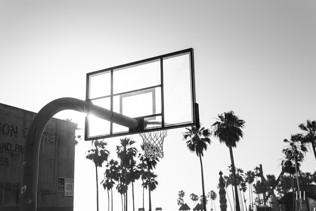 grayscale photo of palm trees