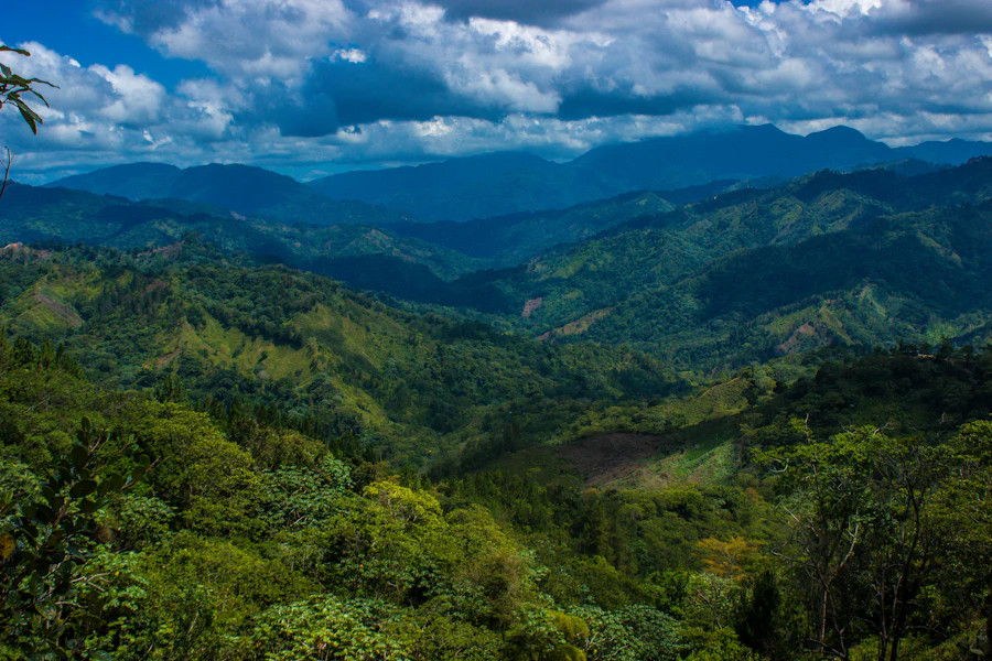 Montañas y campo verde dominicano