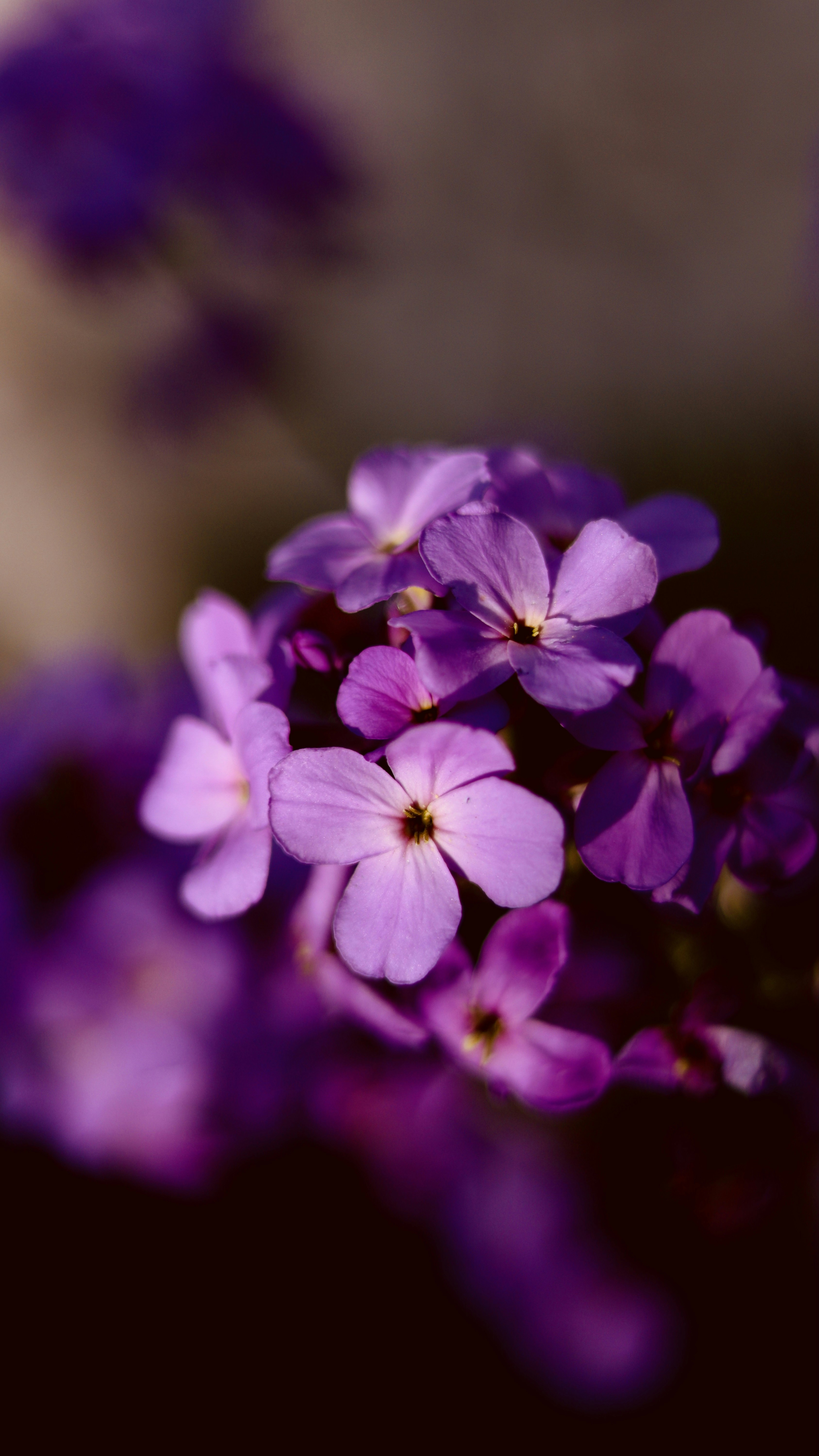 Photo by sangam_sharma