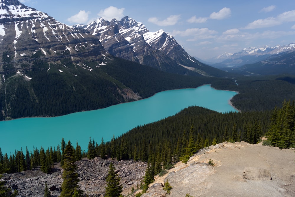 green pine trees on brown rocky mountain during daytime