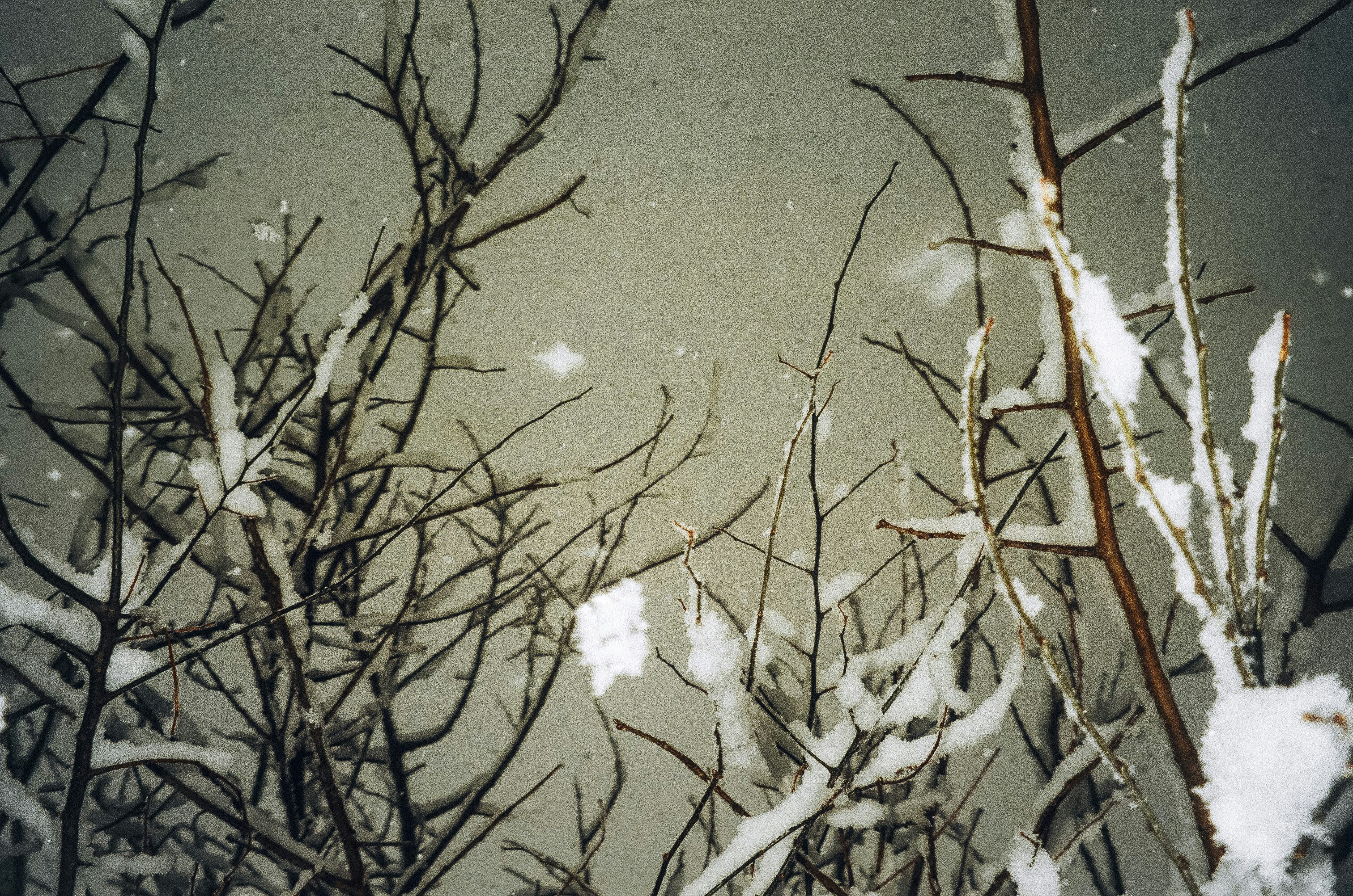 Photo by lowmurmer