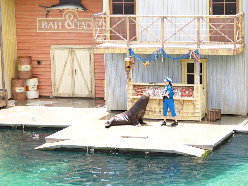 man in blue shirt and black shorts standing on white and blue surfboard during daytime