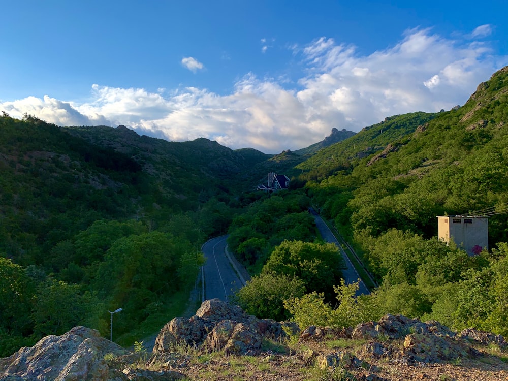 green trees on mountain under blue sky during daytime