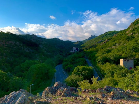 green trees on mountain under blue sky during daytime in Sliven Bulgaria