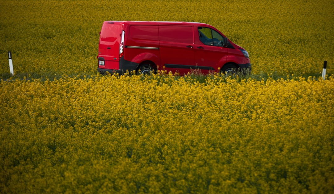 red suv on yellow flower field during daytime