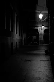 A shadowy alleyway at night with a flickering streetlamp, setting a suspenseful mood.
