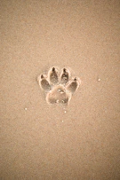 brown sand with heart shaped sand