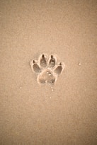 brown sand with heart shaped sand