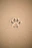 brown sand with heart shaped sand
