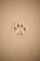brown sand with heart shaped sand