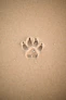 brown sand with heart shaped sand