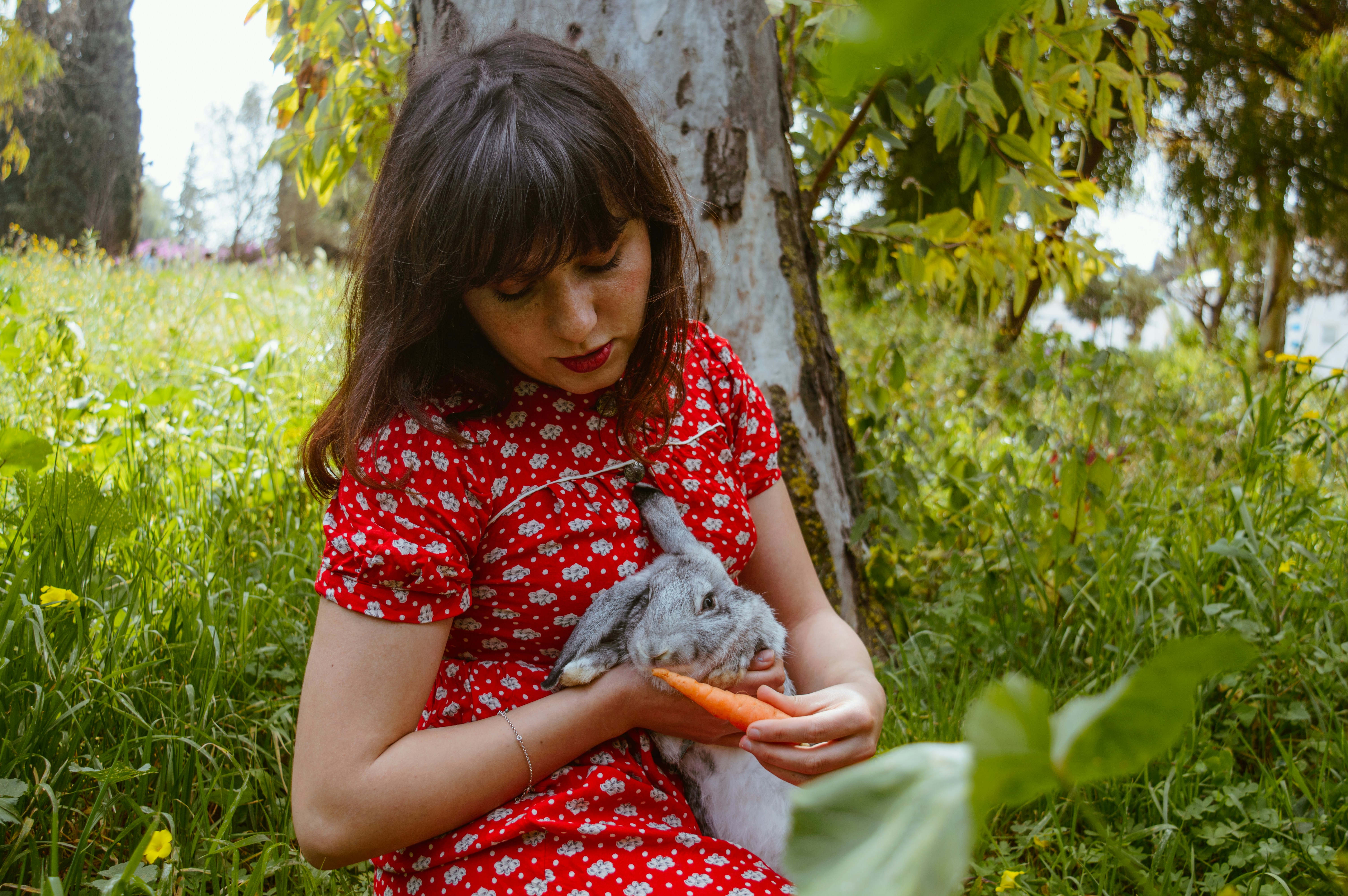 Direct Primary Care Enhancement Act - Can Clients Gain From Direct Primary Care?