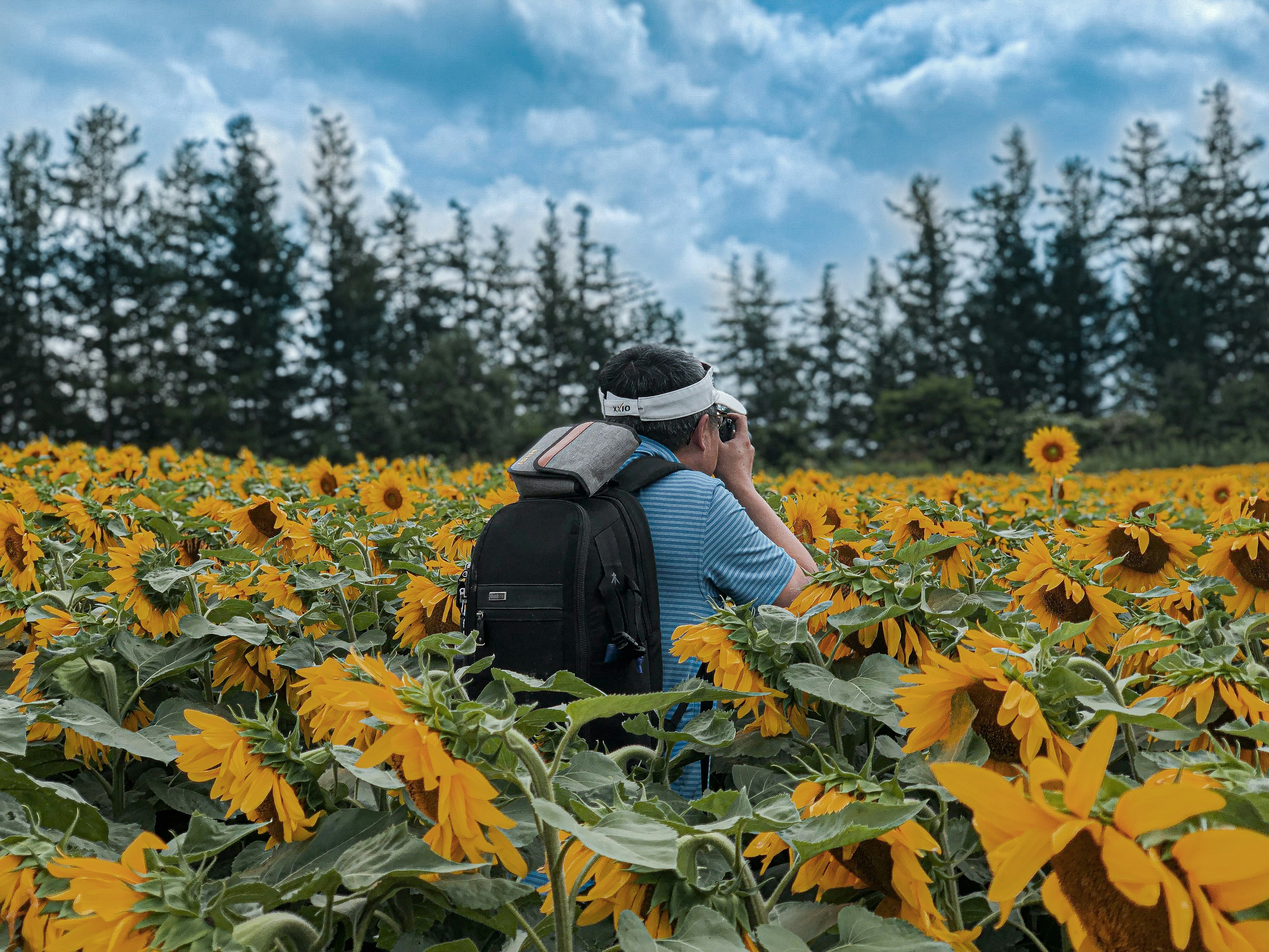 The Perks Of Wellness Health Care Practitioners