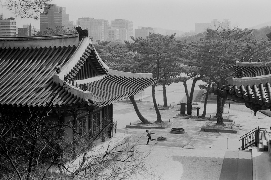 grayscale photo of wooden house near bare trees