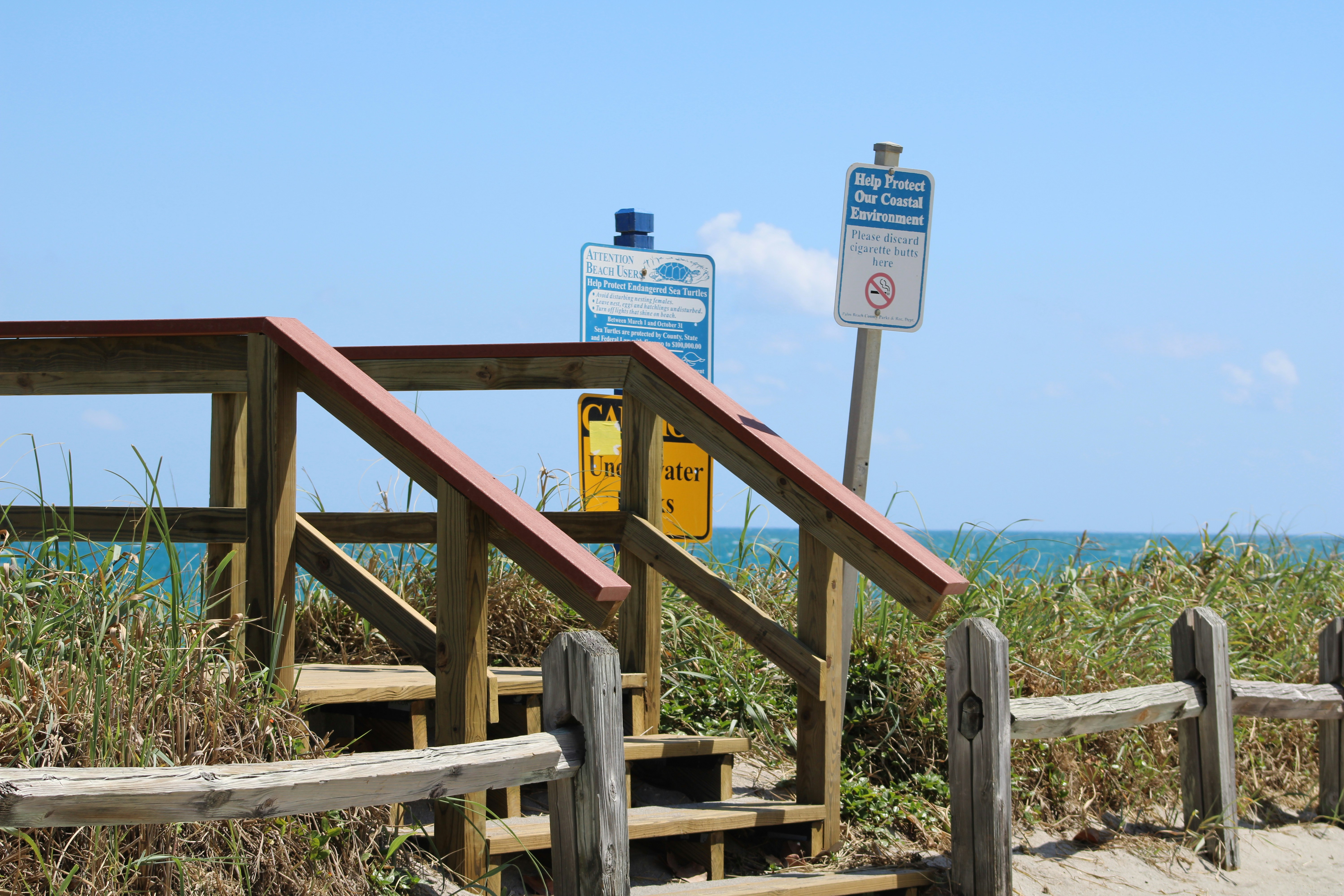 brown wooden staircase with no people during daytime