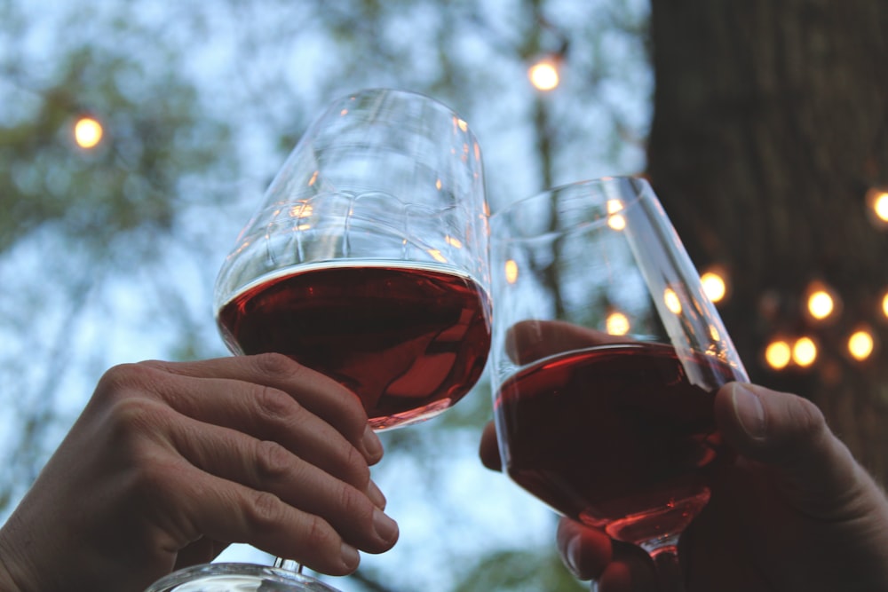 personne tenant un verre de vin transparent avec du vin rouge