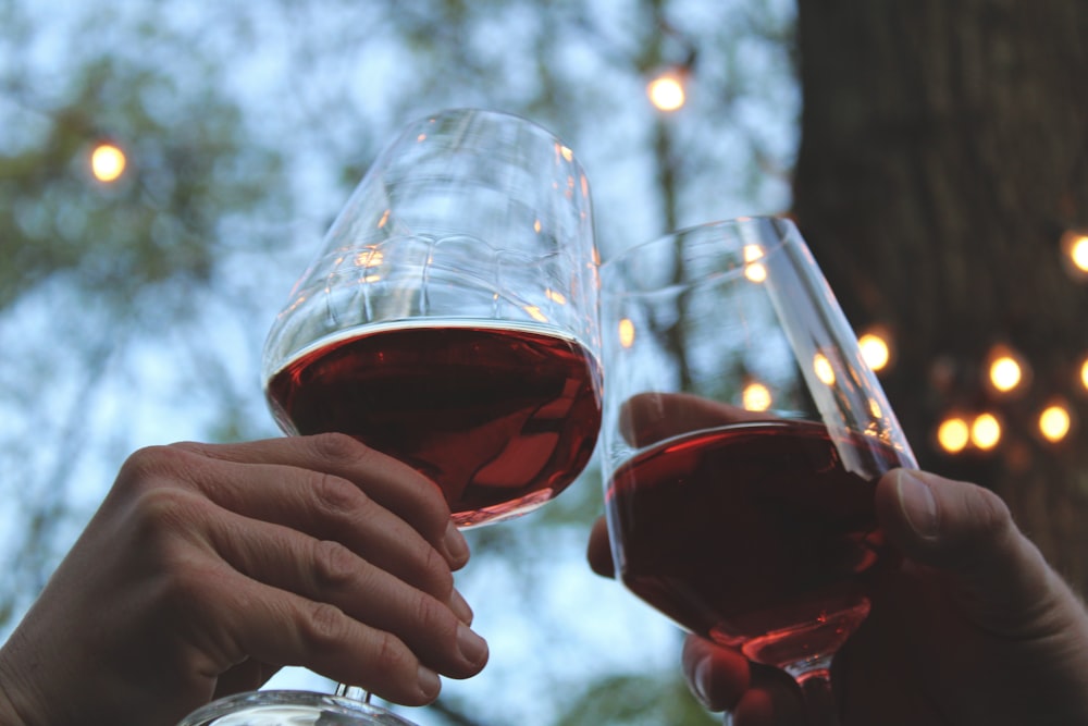 pessoa segurando taça de vinho transparente com vinho tinto