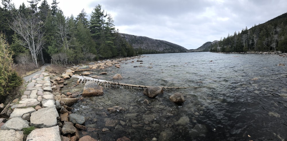 brown rocks on body of water near green trees during daytime