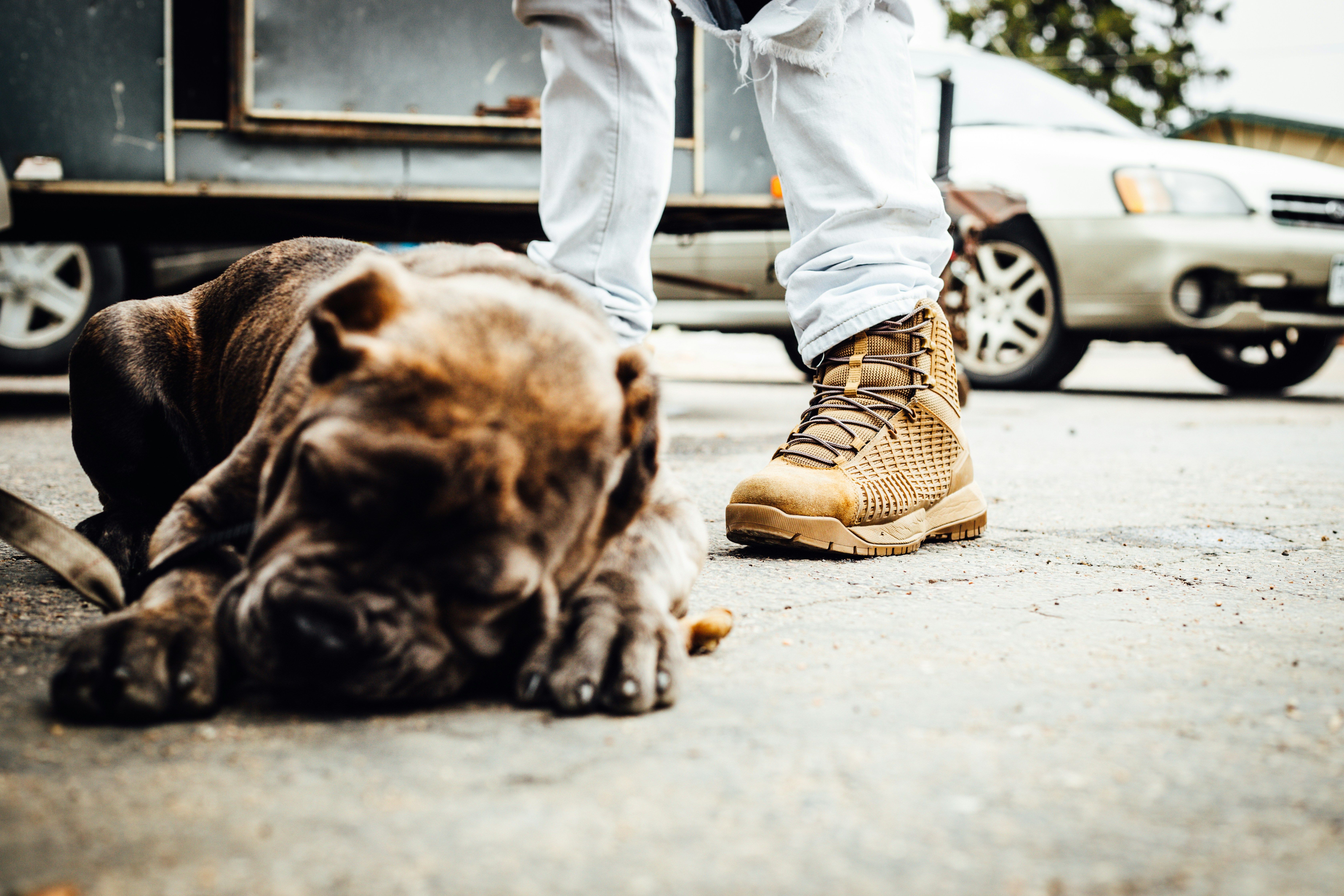 Photo by photosoflogan