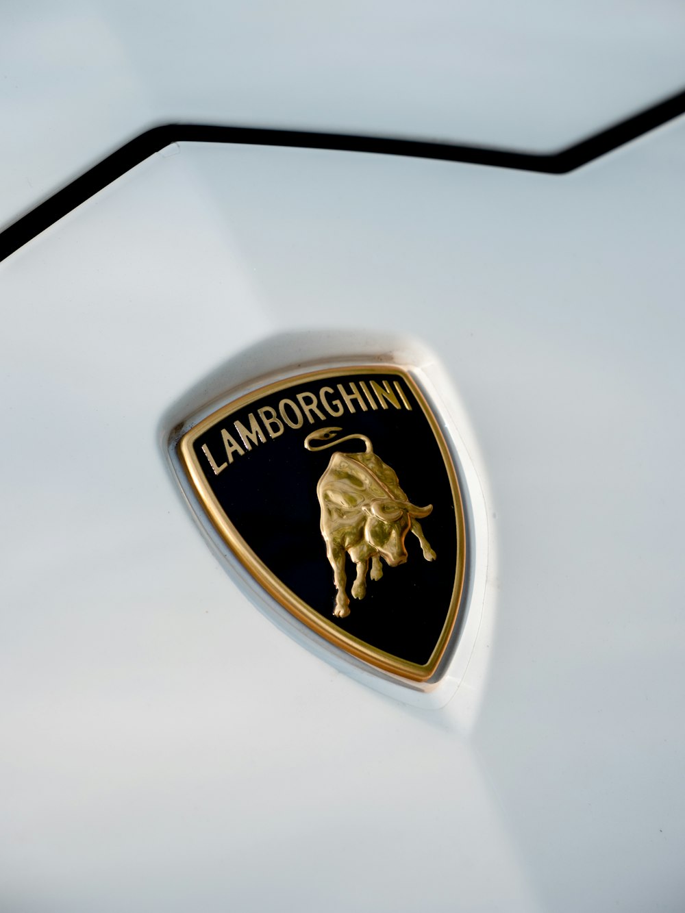 gold and black lion logo