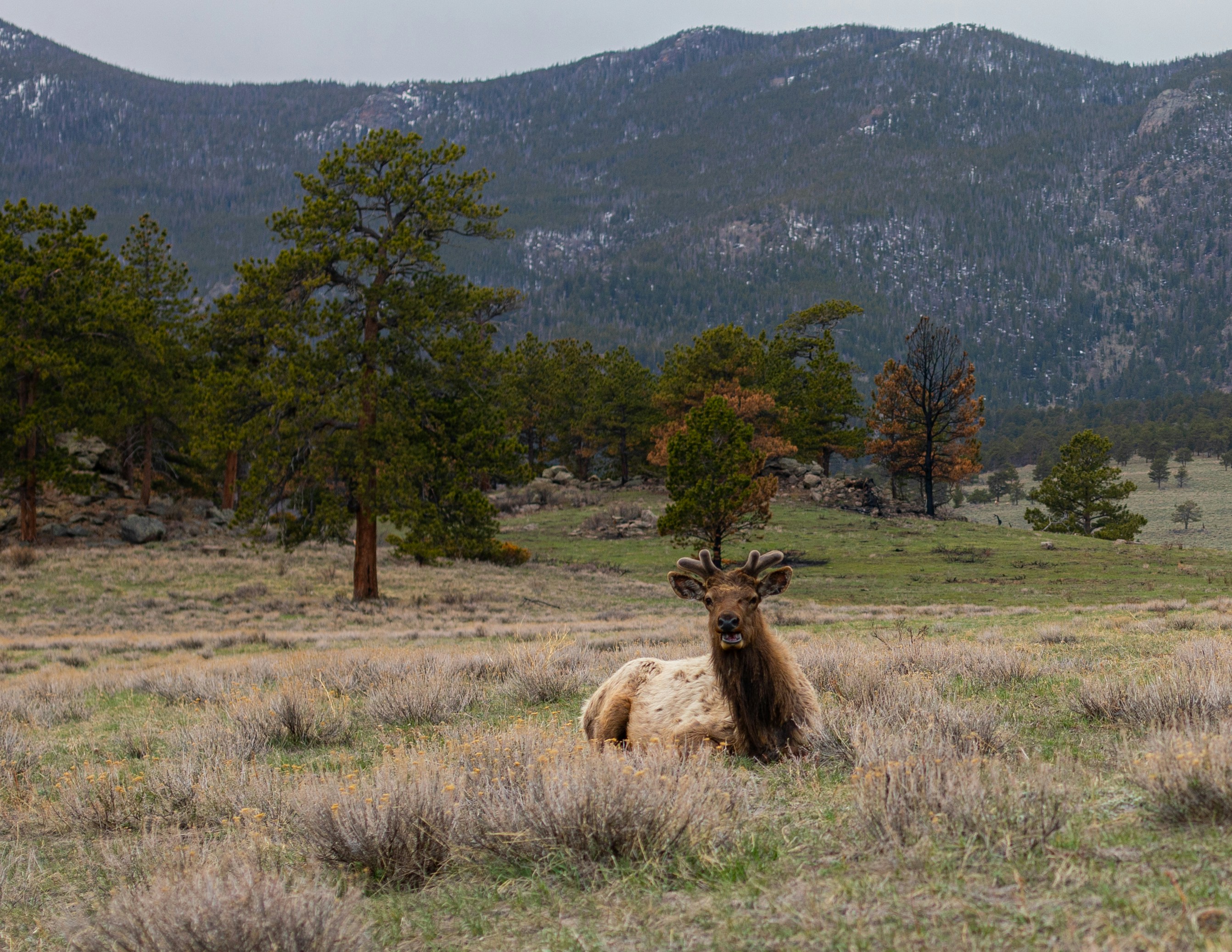 Photo by photosoflogan