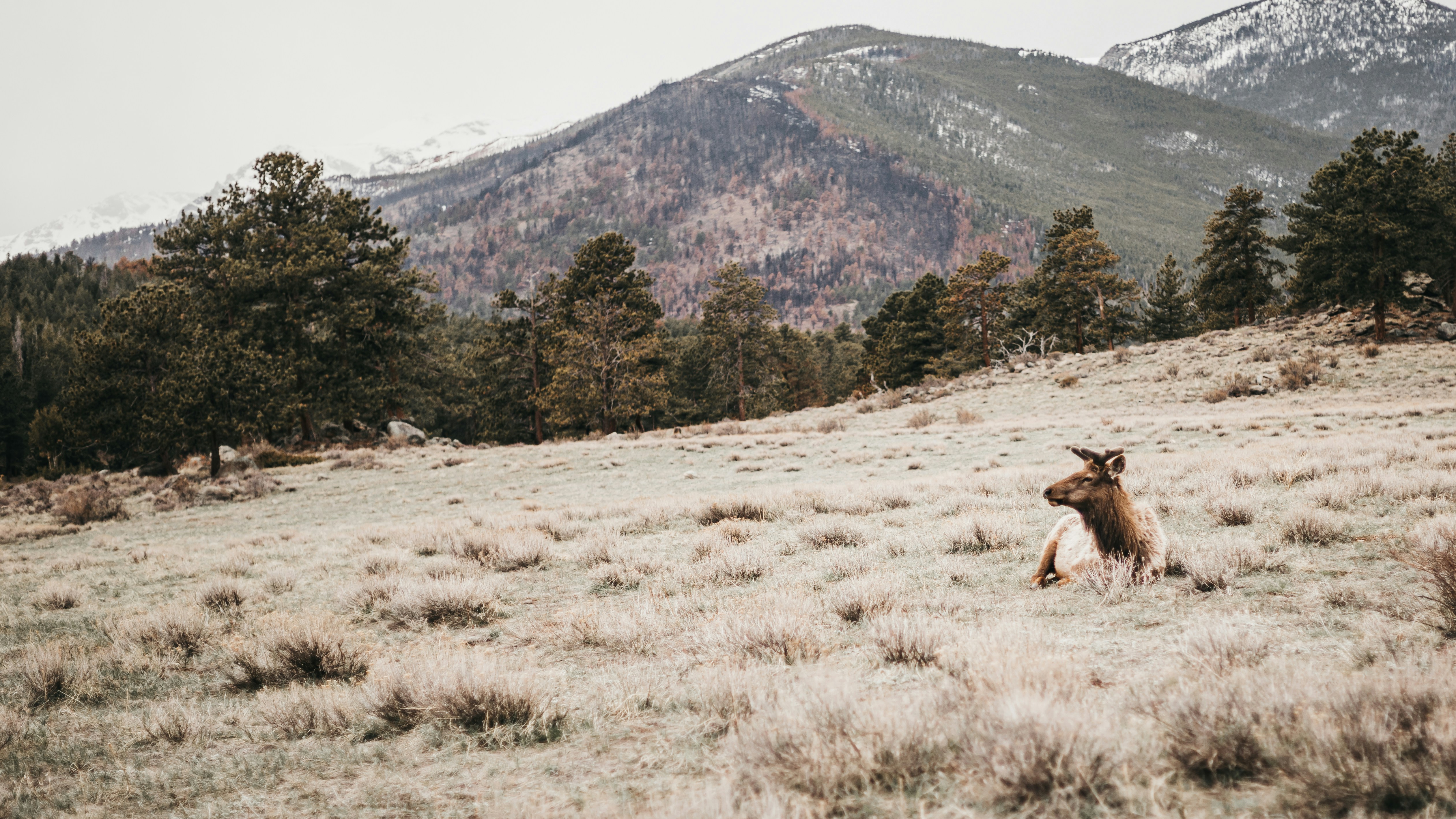 Photo by photosoflogan