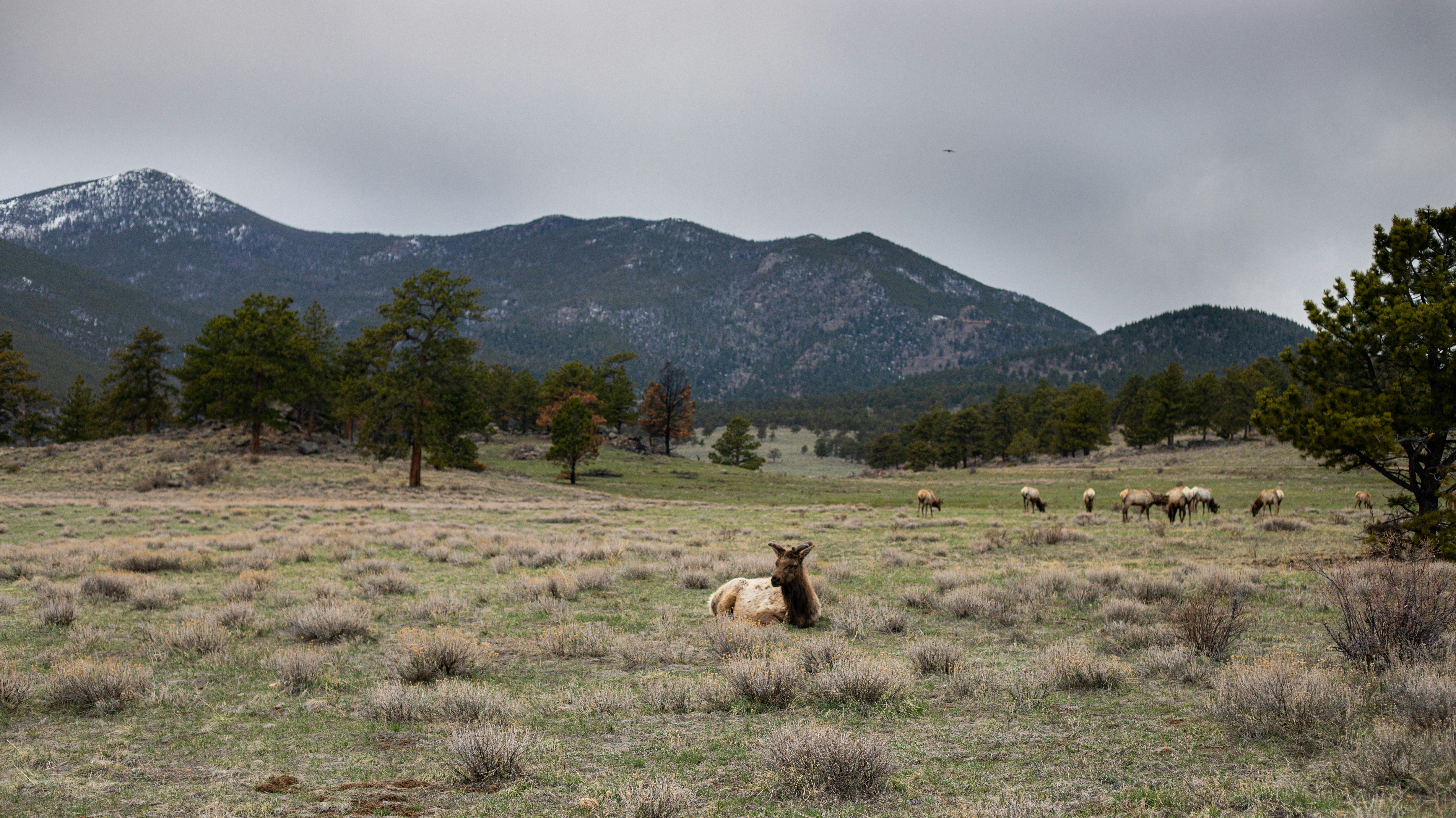 Photo by photosoflogan