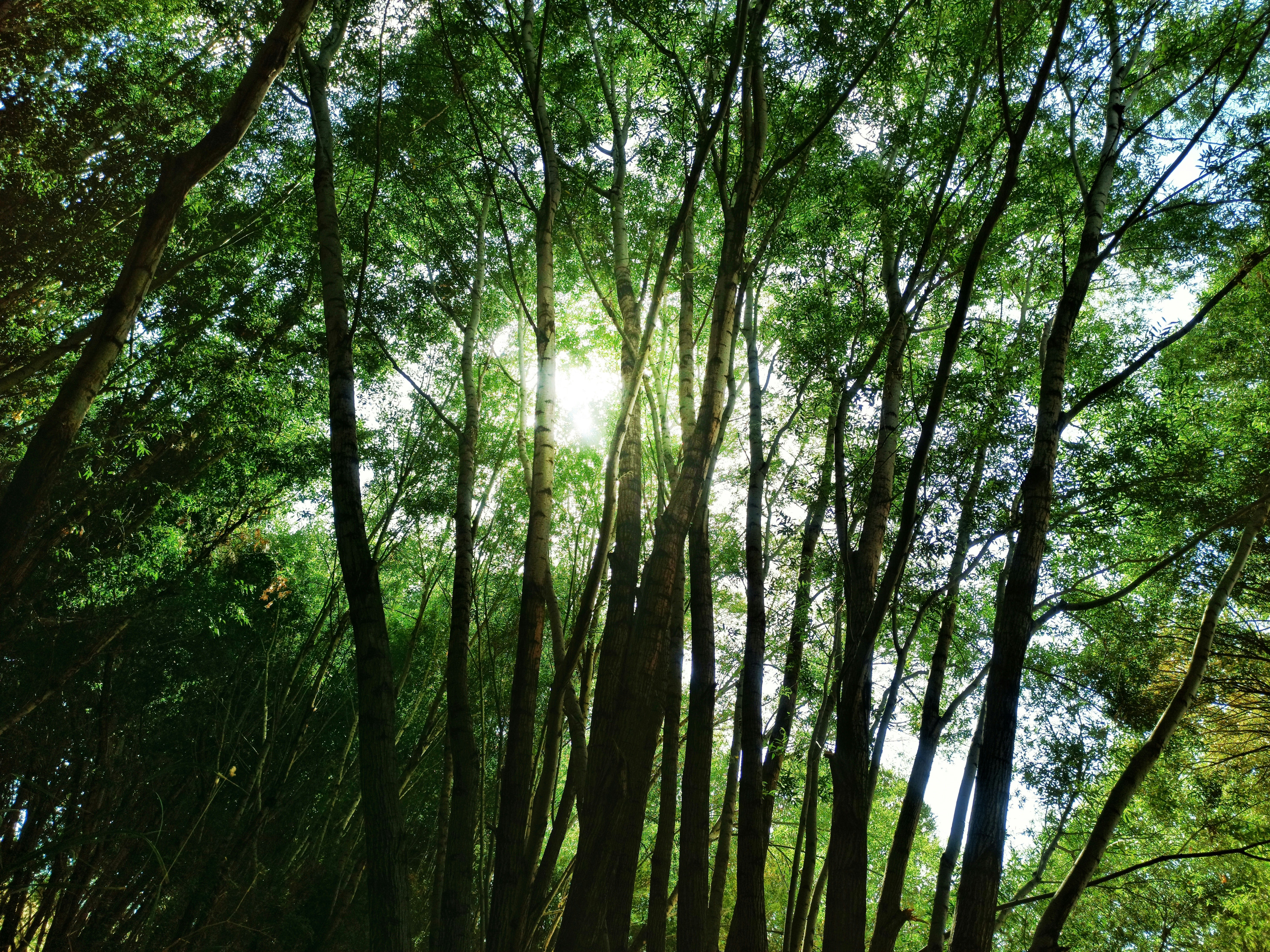 Photo by abdolazimmollaei