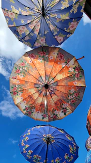 A vibrant floral-patterned umbrella catching sunlight on a cloudy day.