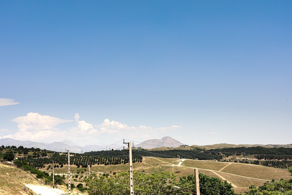 green trees and mountain under blue sky during daytime