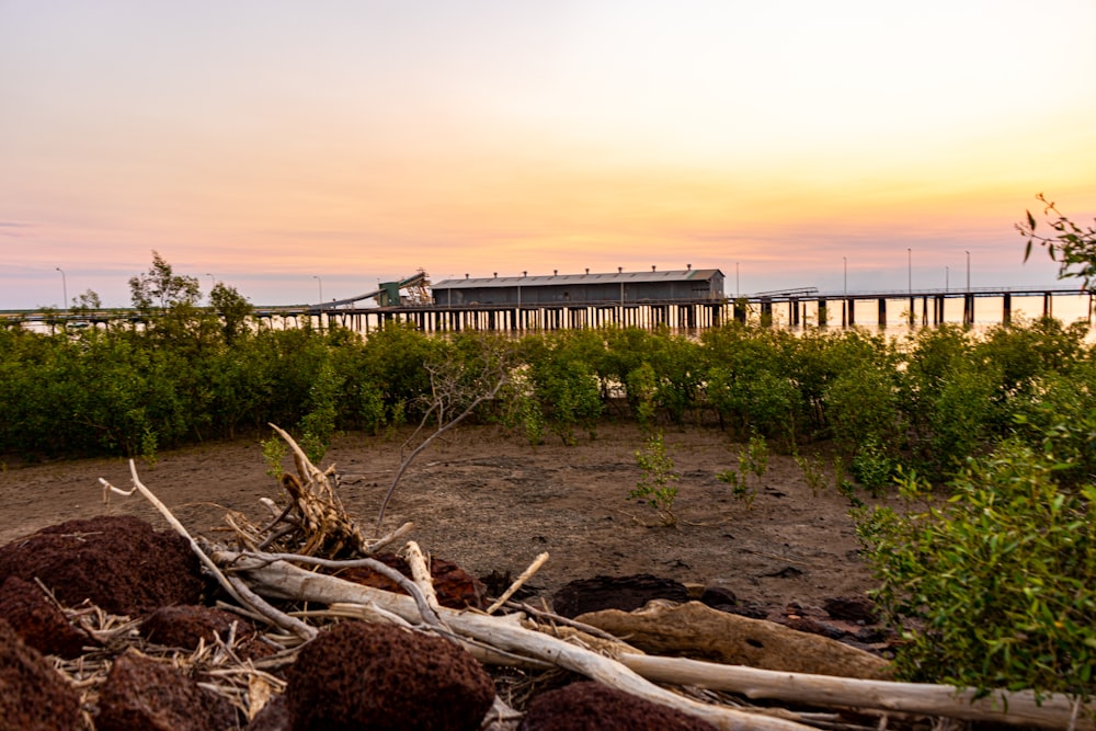 brown wooden fence on brown sand near body of water during daytime