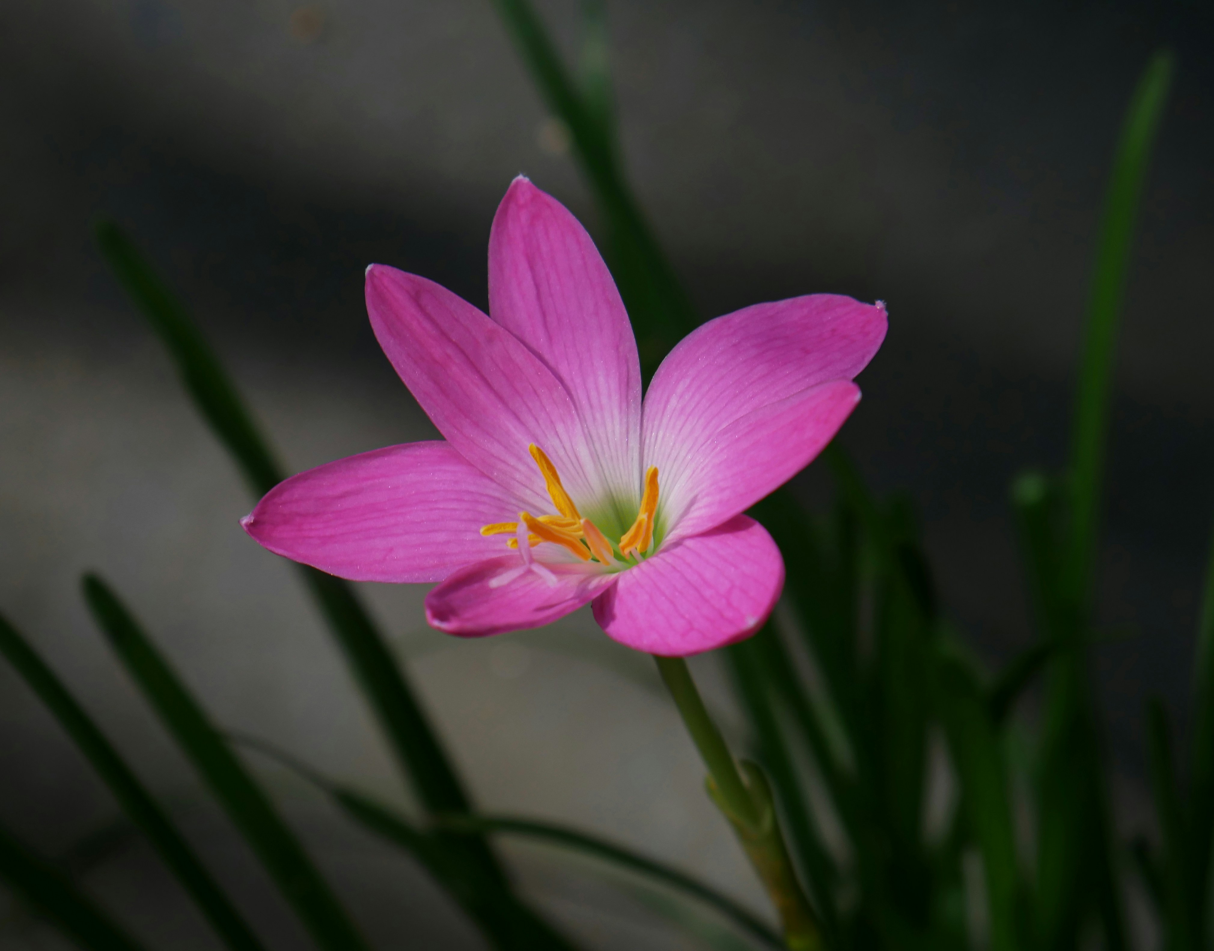 Photo by dark_matter_09