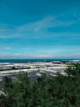 Wide shot of Salinaverde’s fields near the sea with salty air and sunlight.