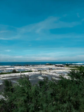 Sunlit salt pans stretching along the Colima coast under a clear blue sky.