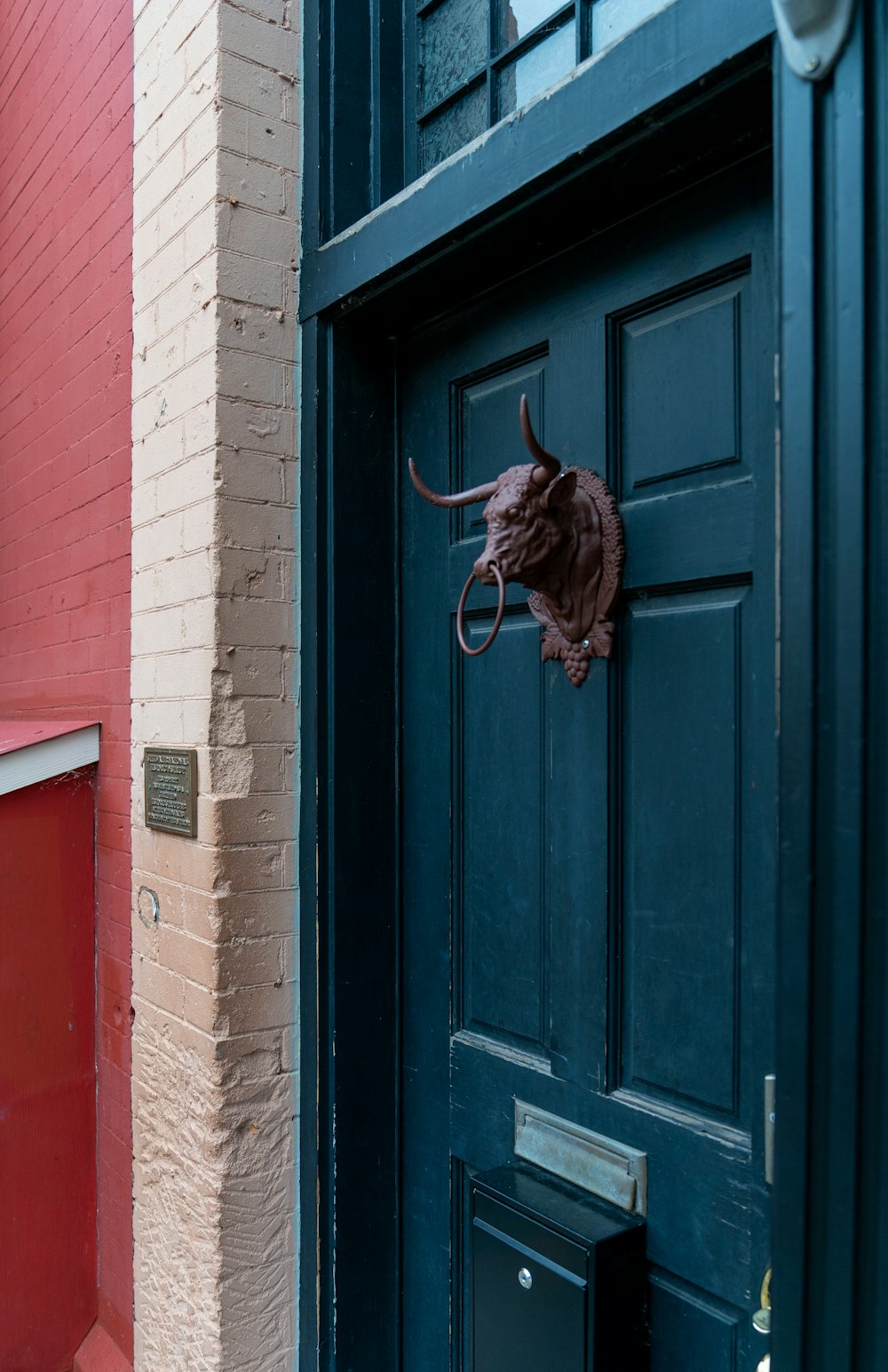 brown tabby cat on blue wooden door