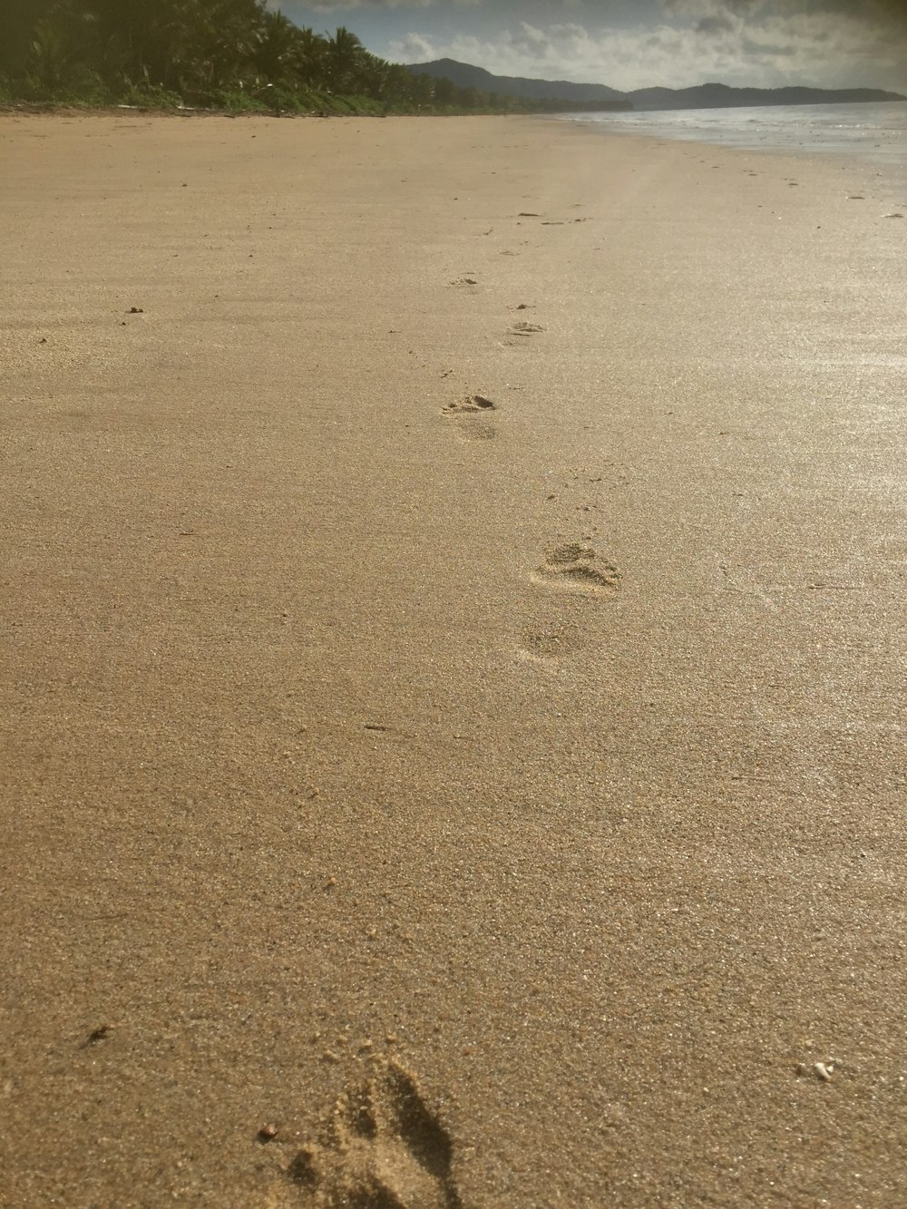 brauner Sand mit Fußabdrücken tagsüber