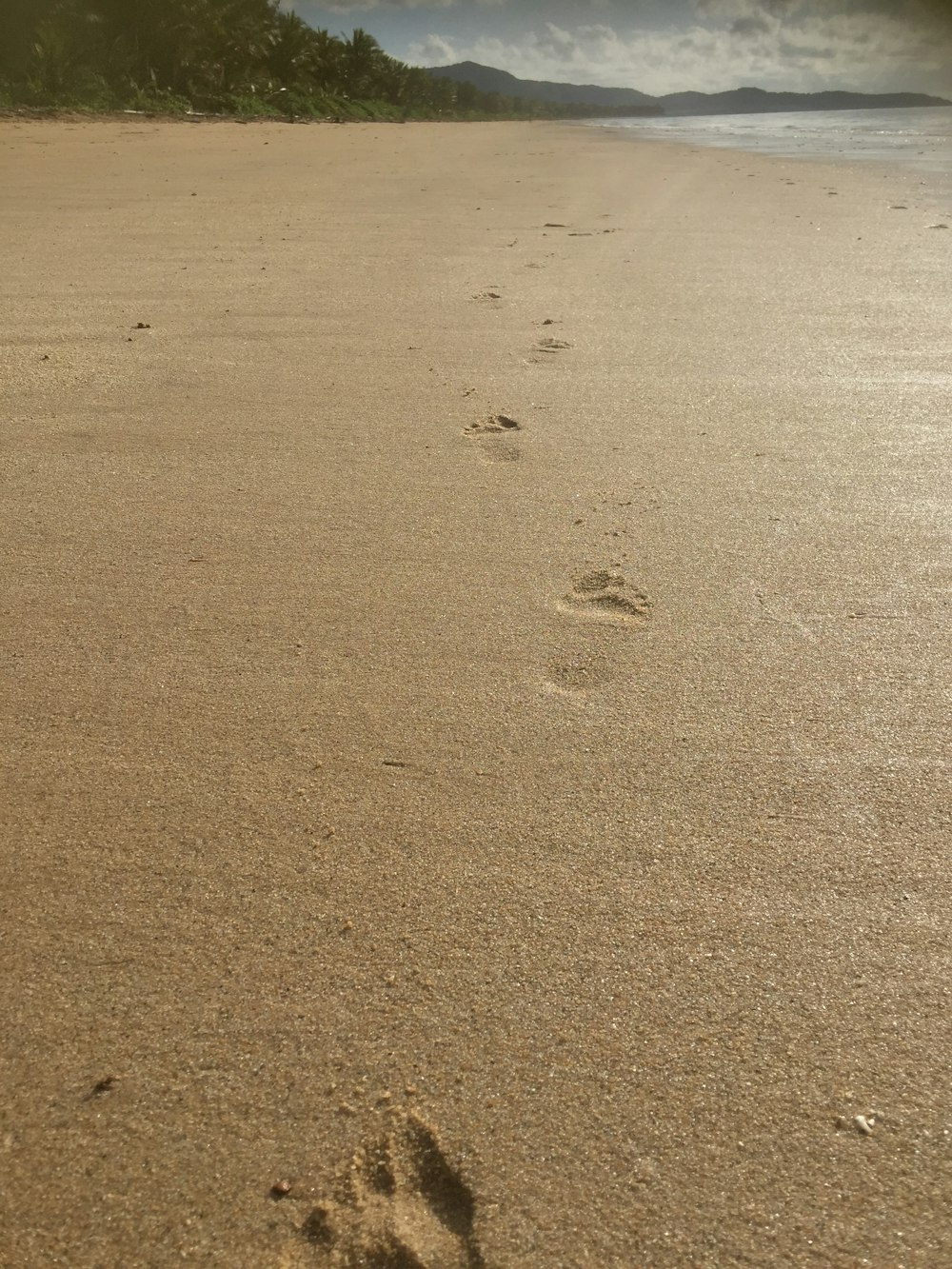 brown sand with footprints during daytime